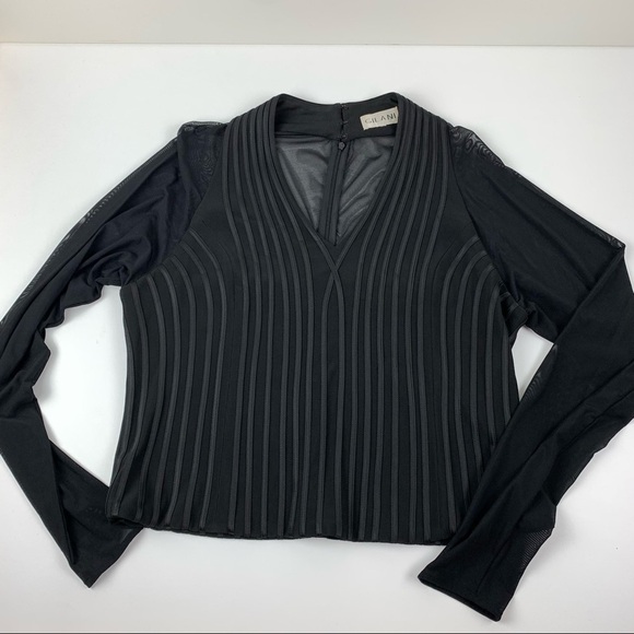 GILANI Black Long Sleeve V-Neck Sheer Top - Picture 2 of 11